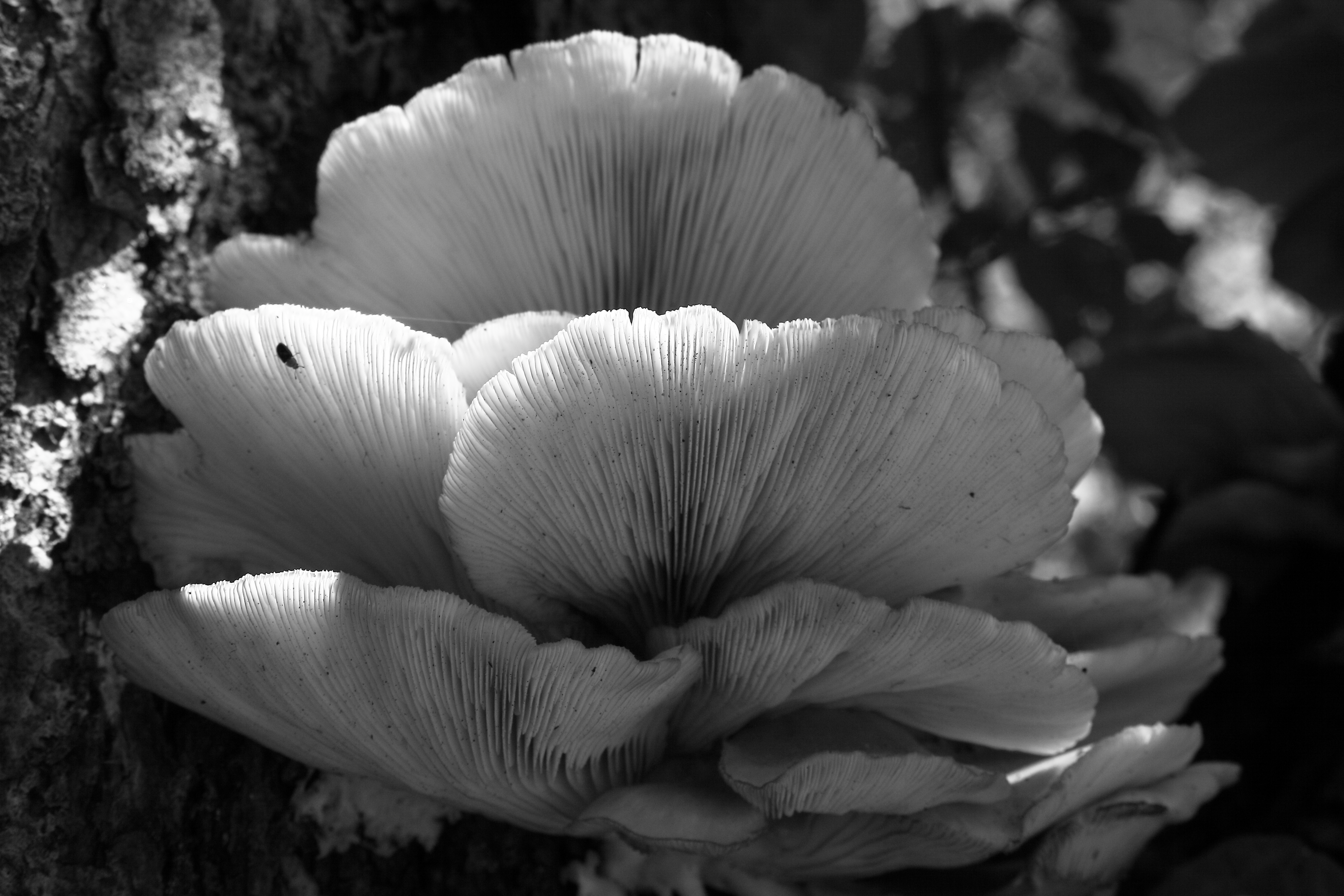 2014 09 14 HTP 86699eebw